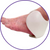 Dermapad Sacrum Ankle Wrap